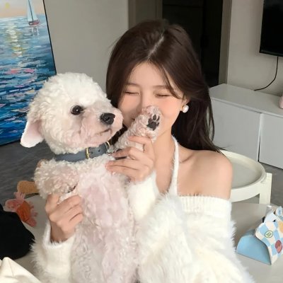 分手的决心